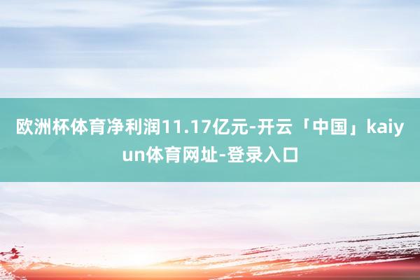 欧洲杯体育净利润11.17亿元-开云「中国」kaiyun体育网址-登录入口