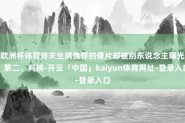 欧洲杯体育终末生病憔悴的像片却被别东说念主曝光？第二、判辨-开云「中国」kaiyun体育网址-登录入口