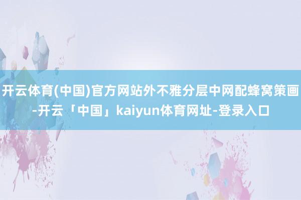 开云体育(中国)官方网站外不雅分层中网配蜂窝策画-开云「中国」kaiyun体育网址-登录入口