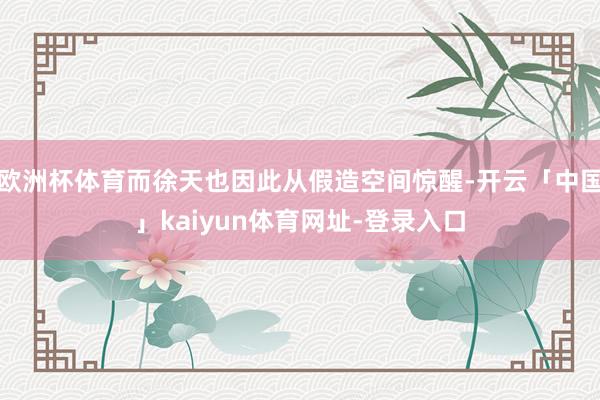 欧洲杯体育而徐天也因此从假造空间惊醒-开云「中国」kaiyun体育网址-登录入口