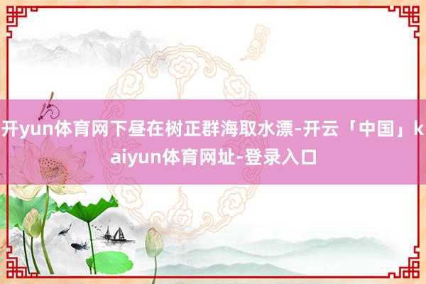 开yun体育网下昼在树正群海取水漂-开云「中国」kaiyun体育网址-登录入口