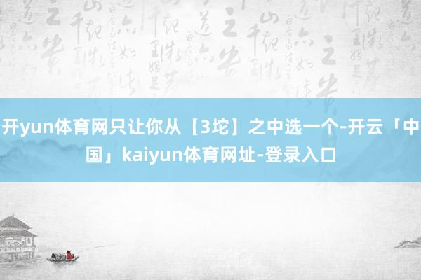 开yun体育网只让你从【3坨】之中选一个-开云「中国」kaiyun体育网址-登录入口