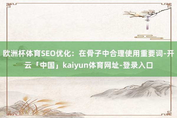 欧洲杯体育SEO优化:在骨子中合理使用重要词-开云「中国」kaiyun体育网址-登录入口