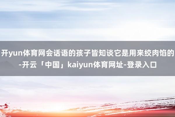 开yun体育网会话语的孩子皆知谈它是用来绞肉馅的-开云「中国」kaiyun体育网址-登录入口