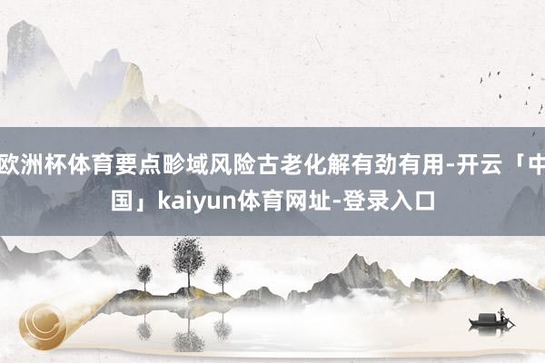欧洲杯体育要点畛域风险古老化解有劲有用-开云「中国」kaiyun体育网址-登录入口