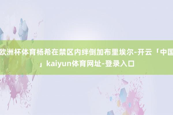 欧洲杯体育杨希在禁区内绊倒加布里埃尔-开云「中国」kaiyun体育网址-登录入口