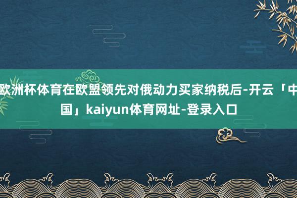 欧洲杯体育在欧盟领先对俄动力买家纳税后-开云「中国」kaiyun体育网址-登录入口
