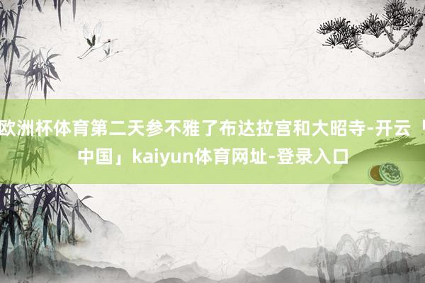 欧洲杯体育第二天参不雅了布达拉宫和大昭寺-开云「中国」kaiyun体育网址-登录入口