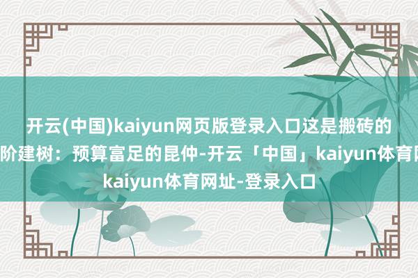 开云(中国)kaiyun网页版登录入口这是搬砖的基础门槛；进阶建树：预算富足的昆仲-开云「中国」kaiyun体育网址-登录入口