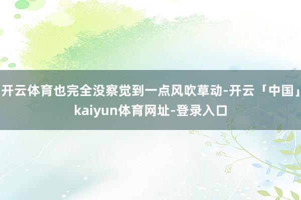 开云体育也完全没察觉到一点风吹草动-开云「中国」kaiyun体育网址-登录入口
