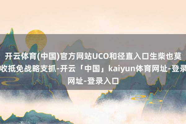 开云体育(中国)官方网站UCO和径直入口生柴也莫得税收抵免战略支抓-开云「中国」kaiyun体育网址-登录入口
