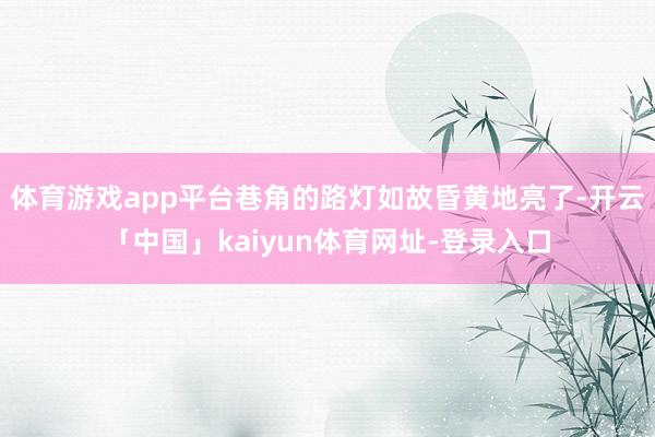 体育游戏app平台巷角的路灯如故昏黄地亮了-开云「中国」kaiyun体育网址-登录入口