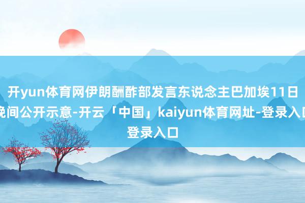 开yun体育网伊朗酬酢部发言东说念主巴加埃11日晚间公开示意-开云「中国」kaiyun体育网址-登录入口